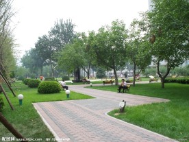 公园小路