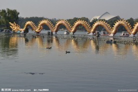 龙尾