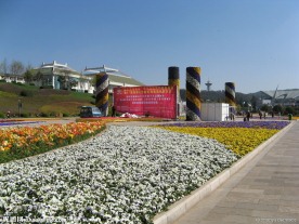遍地鲜花
