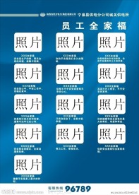 地方电力全家福