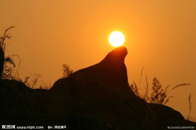 海狮顶球