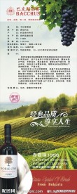 红酒海报设计