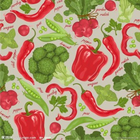 手绘蔬菜背景矢量