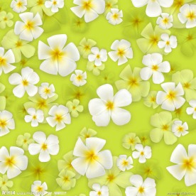 浅绿色背景鲜花