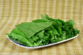油麦菜
