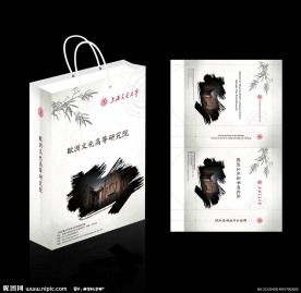 中国风风格手提袋设计