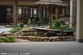 庭院