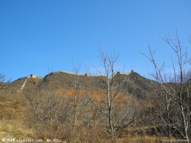 野外