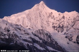 满山红
