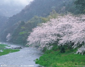 春暖花开
