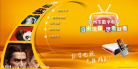 数字电视