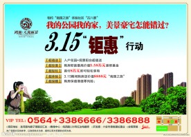 房地产半版报广