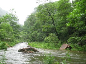 溪水潺湲