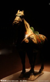 历史文物 唐三彩 骏马