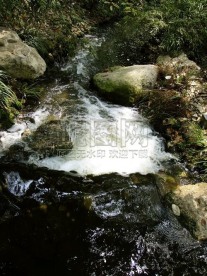 小溪流水