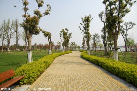 公园景观