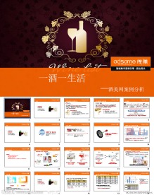 酒美网案例