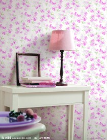 家居效果图制作