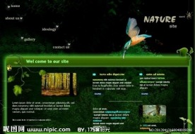 大自然生物网站flash模板素材
