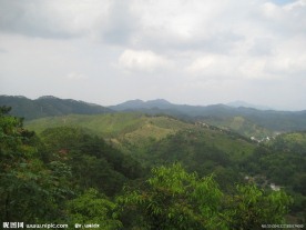 山景