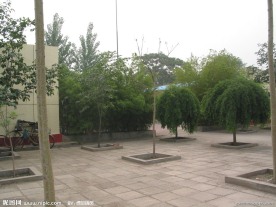 旅游景点