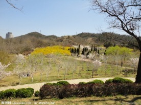 风景如画