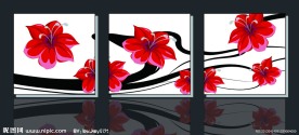 花卉无框画