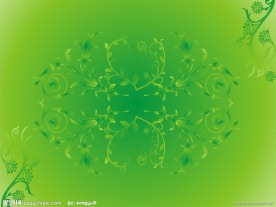 花纹矢量图