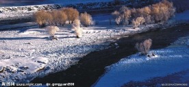 雪景