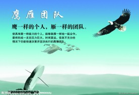 团队展板