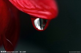 雨珠