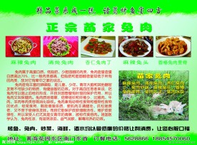 诸葛烤鱼宣传页