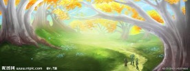 树荫那时光