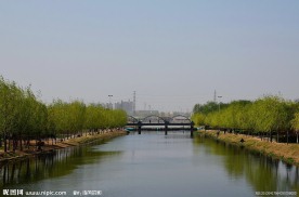柳堤的河桥