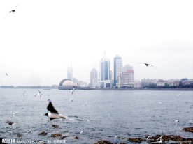 青岛海上风景
