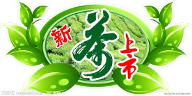 新茶上市