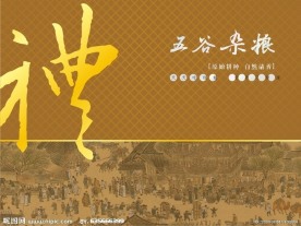 包装设计图片