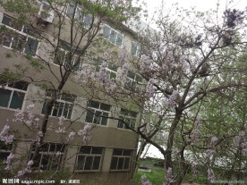 小区建筑