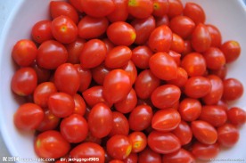 小番茄 圣女果