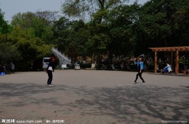 南村的文化
