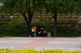 绿地的游客