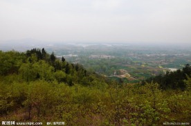 杏花山