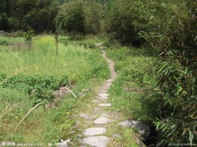 山间小路