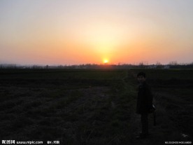 田野落日