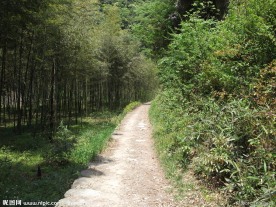 山间小径