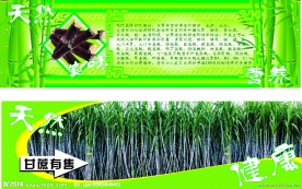 甘蔗地堆围布