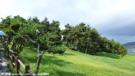 韩国釜山风景