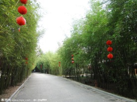 广宁竹海大观