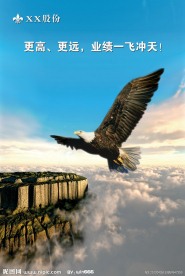 雄鹰展翅凌空飞翔