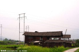田园景观